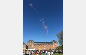 572d0e5514489_IMG9584.JPG